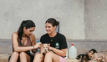 Dog Rescue Volunteer in Sri Lanka Tour