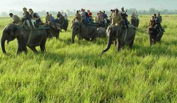 Train, Tea, Tiger & Tribal Expedition