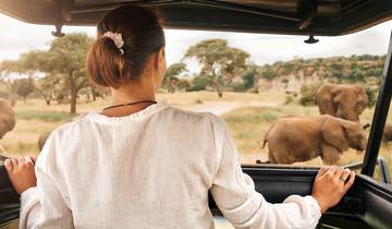 Safari économique de 3 jours : (Tarangire, Manyara & Ngorongoro) circuit