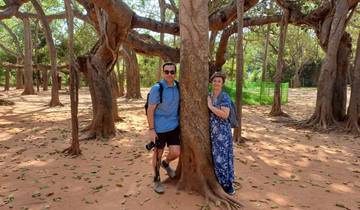 6 Days in South India Temple Route, incl. Chennai and Pondicherry