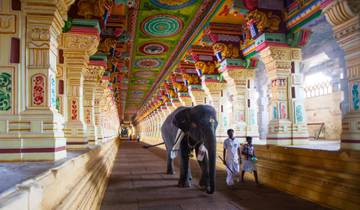 Pèlerinage à Trichy, Madurai, Rameshwaram et Thanjavur