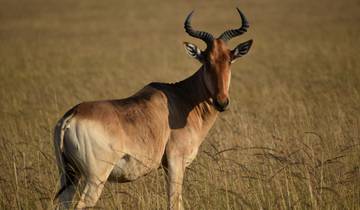 03 Days Kenya Lodge Safari to  Samburu National Reserve