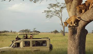 07 Days Kenya Luxury Rhino Safari Tour