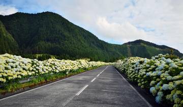 7 Day São Miguel Itinerary, incl. Ponta Delgada and Furnas