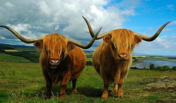 16 Days in Scotland & Ireland, incl. Glasgow and Dublin