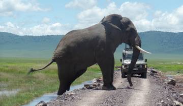 Safari classique de 3 jours dans le Masai Mara circuit