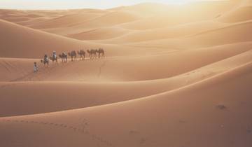 Histoire et sable - Fès, le désert du Sahara, Marrakech et plus encore ! circuit