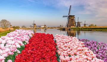 6 Day Rhine River Cruise Itinerary, incl. Cologne and Amsterdam
