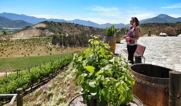 10 Days Unique Experience for WINE Lovers @ Argentina and Chilean Premium Vineyards