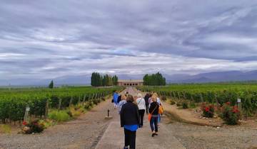 10 Day Chile & Argentina Itinerary, incl. Santiago and Buenos Aires