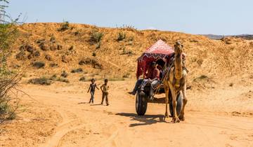 Rondreis door Rajasthan met Ranthambore