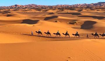 Circuito Desde Fez: circuito de 3 días a Marrakech por el desierto