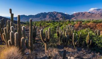 AWESOME JOURNEY 7 DAYS THROUGH THE MAGNIFICENT NORTHWEST ARGENTINE