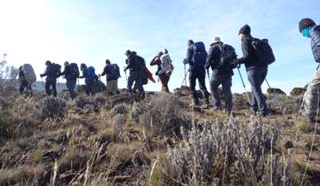 Kilimanjaro Trekking Machame Route 8 Day Program **Qualified Mountain Guides & Sustainability Certification** Tour