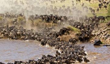 PRIVATE Wildebeest Calving Safari, Tanzania, January to March **Sustainable Approach to Travel