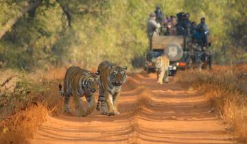 Secret India Wildlife Safari Tour