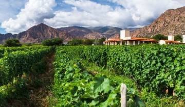 Salta: Humahuaca-Tal & Weinkellereien in Cafayate 4 Tage