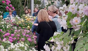 Chelsea Flower Show (Westbound) 2025