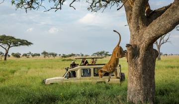 14-Day Best of Tanzania Wilderness Safari Cultural Experience and Zanzibar Beach Holiday