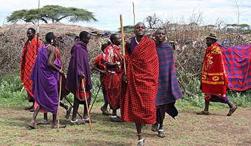 Excursion d'une journée au village Maasai