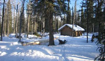 17 Days in Alaska, incl. Anchorage and Denali National Park