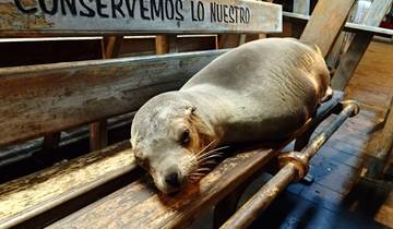 5 jours d'excursion sur les îles Galápagos : San Cristobal et Santa Cruz