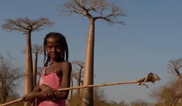 Exploring Baobabs tour Tour