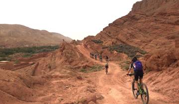 8-Days Bike Adventure from/to Marrakech: Exploring the High Atlas Mountains and Draa Valley Tour