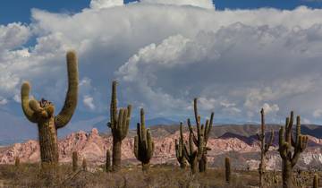 4 Days tailor-made trip.  Salta & Cafayate. Among Valleys, Gores and Vineyards.