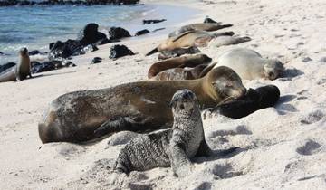 Customized Galapagos Islands Trip with Quito, Daily Departure Tour