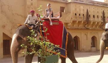 Circuito Lo mejor de la atractiva Jaipur