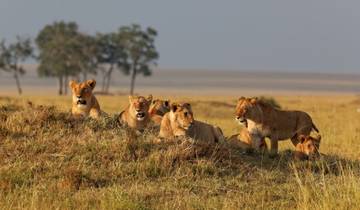 Kenia & Tansania: Das Safari-Erlebnis mit Sansibar Rundreise