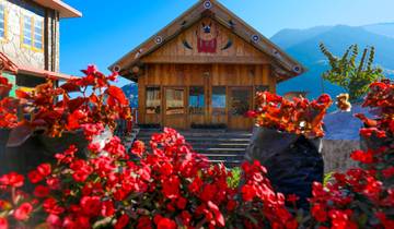 Tribal Trails and Tea Estates: A Journey Through Nagaland & Assam