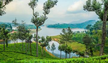 Escapade majestueuse à Munnar depuis Madurai circuit