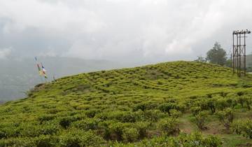 Tea Gardens and Monasteries of Darjeeling and Gangtok