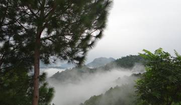 Pics et vallées : Un voyage à travers Manali et Shimla