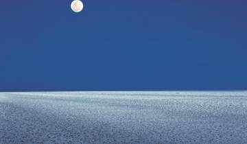 Rann Rhapsody: A Journey from Bhuj to the White Salt Desert