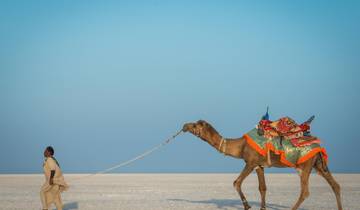 Rann Rhapsody: A Journey from Bhuj to the White Salt Desert