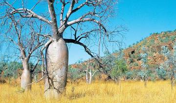 Aventure sur la côte ouest - De Perth à Darwin (2024)