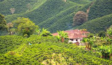 PRIVATE 10 Days Classic Colombia´s Highlights & Coffee Region Tour