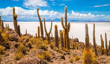 Bolivia: Hito, Cajón & Uyuni - 4 days Tour