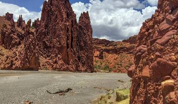 Bolivia: La Quiaca, Villazón & Hito - 3 days Tour