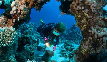 Diving in Guatemala - 8 days Tour