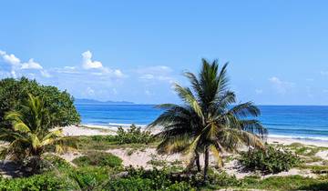 Honduras: San Pedro Sula, Copan Ruins, Tela, La Ceiba, Roatán - 9 days