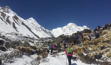 Poon Hill Trek und Dschungel-Safari - 12 Tage