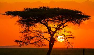 Safari personnalisé en Tanzanie, départ quotidien et aventure privée