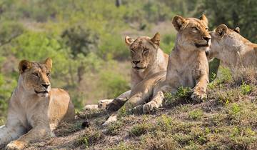 13-Days: Cape Town, Kruger Park. Victoria Falls & Botswana Tour.
