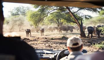 7-Days: Cape Town City and Kruger Park Safari.