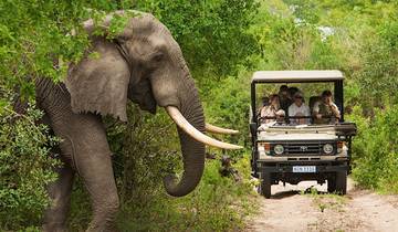 10 jours : Safari aux chutes Victoria, à Chobe et dans le delta de l\'Okavango - Départ de l\'Afrique du Sud. circuit