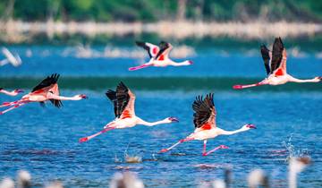 Tailor-Made 11 Days Private Tanzania & Zanzibar Adventure, Daily Departure